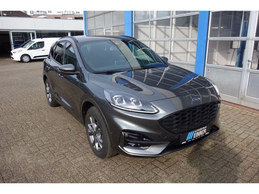 Kuga