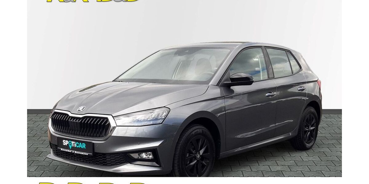 Skoda Fabia 16.876 km 17.950 &euro; Soest 59494