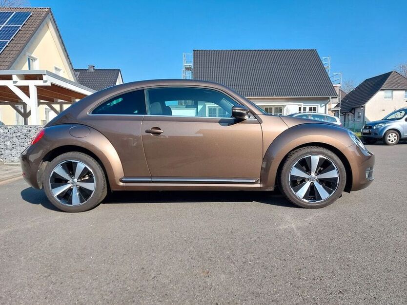 Beetle