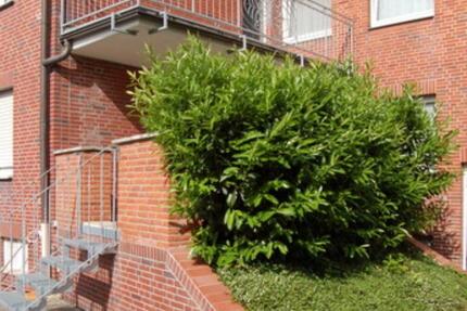 Wohnung Drensteinfurt - 3 Zimmer, 80 m&sup2;, 520&euro; | Angebot:25545648