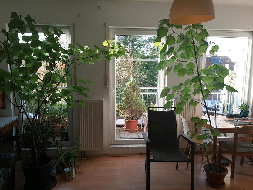 Schönes Zimmer, ca 20qm zimmer