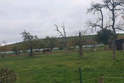 Wohnung Hamm Herringen - 2 Zimmer, 85 m&sup2;, 700&euro; | Angebot:26302888