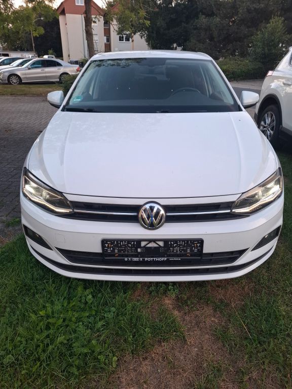 Polo