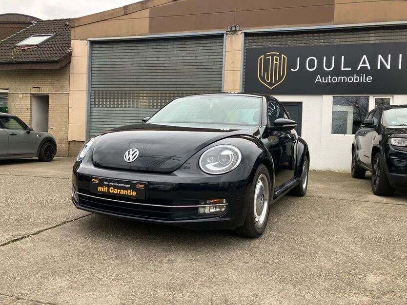 Beetle