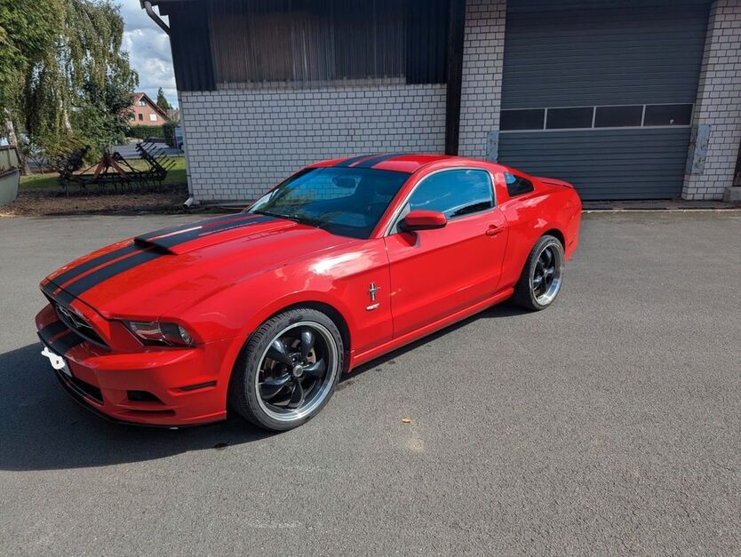 Mustang