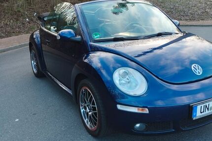 VW Beetle