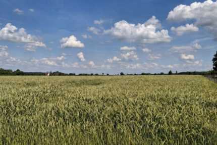 landwirtschaftliche Ackerfläche in Beckum zu verkaufen - Gewerbeobjekt Beckum | Angebot:27178208