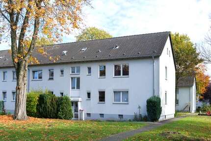 Wohnung Bergkamen Rünthe - 2 Zimmer, 33 m&sup2;, 319&euro; | Angebot:26995494
