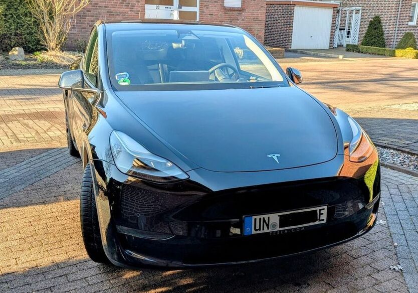 Model Y