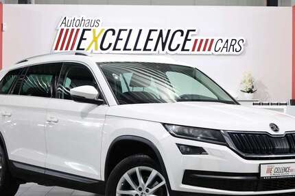 Skoda Kodiaq 190.000 km 16.991 &euro; Hamm 59077