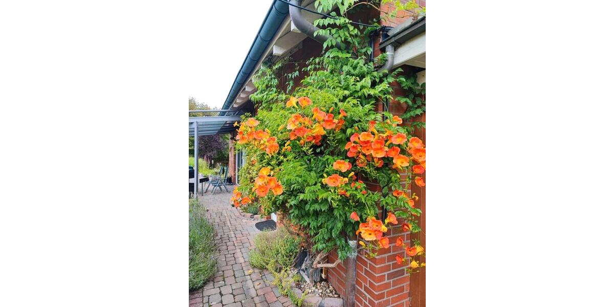 Einfamilienhaus mit WP u. PV von Privat in ruhiger Sackgassenlage 5 zimmer