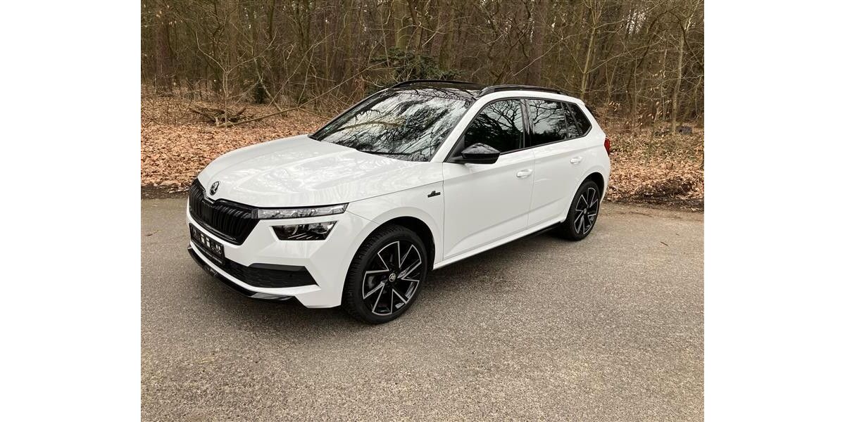 Skoda Kamiq 48.852 km 22.500 &euro; Oelde 59302