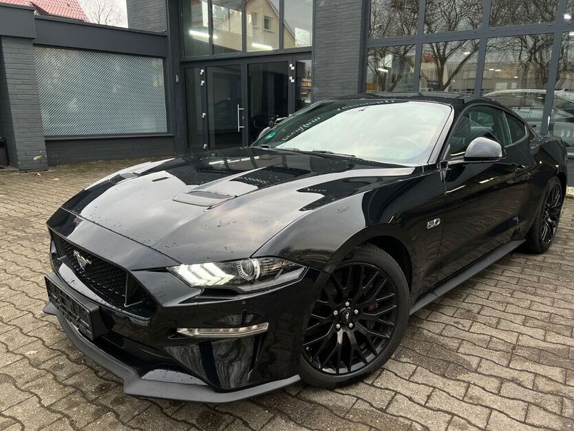 Mustang