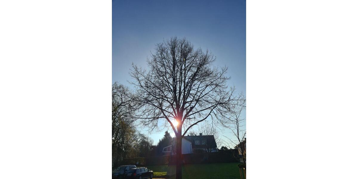 Großes lichtdurchflutetes Einfamilienhaus mit Einliegerwohnung 7 zimmer