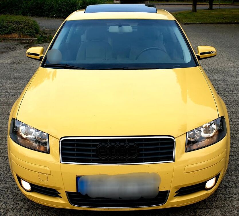 A3