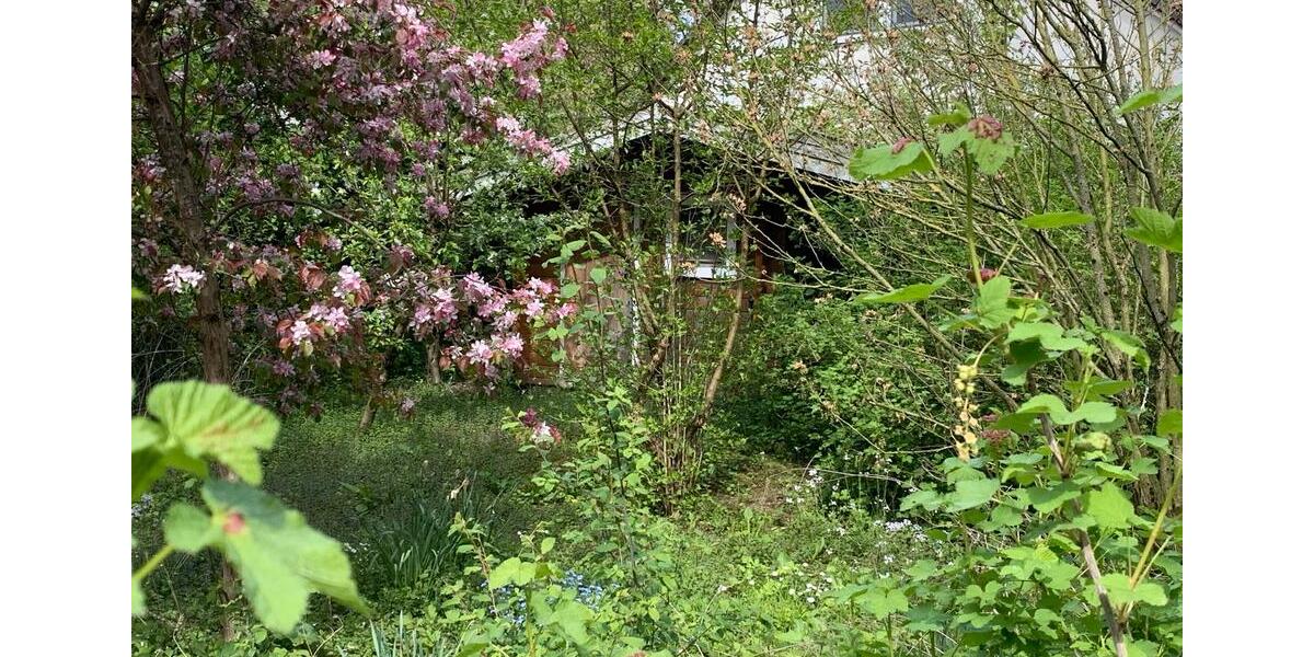 Mehrfamilienhaus, Wohnhaus Soest - 575.000&euro; | Angebot:26326039