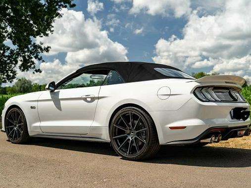 Mustang
