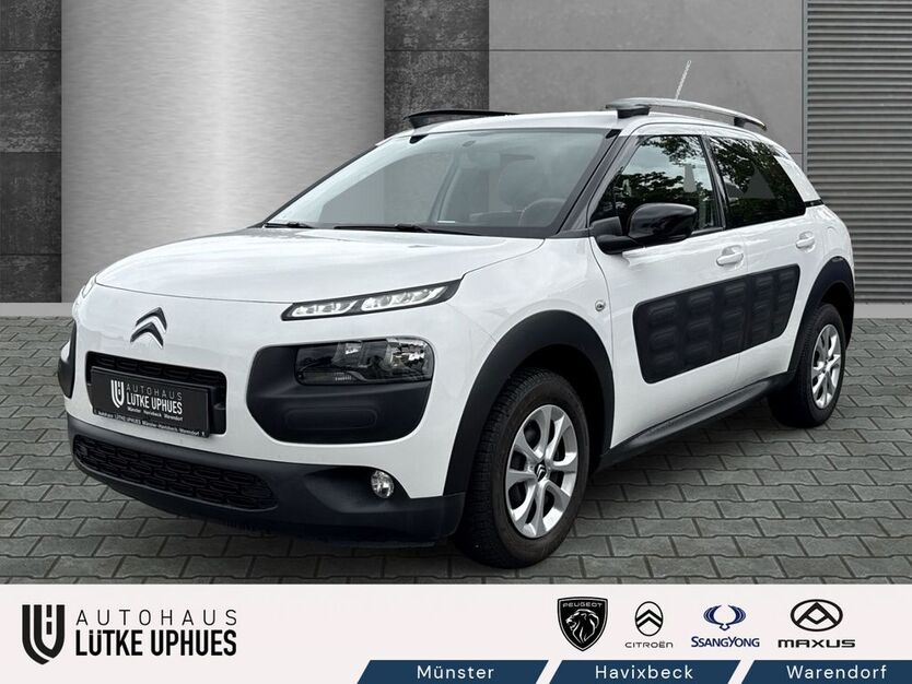 Citroen C4 Cactus 101.500 km 8.250 € Münster 48155