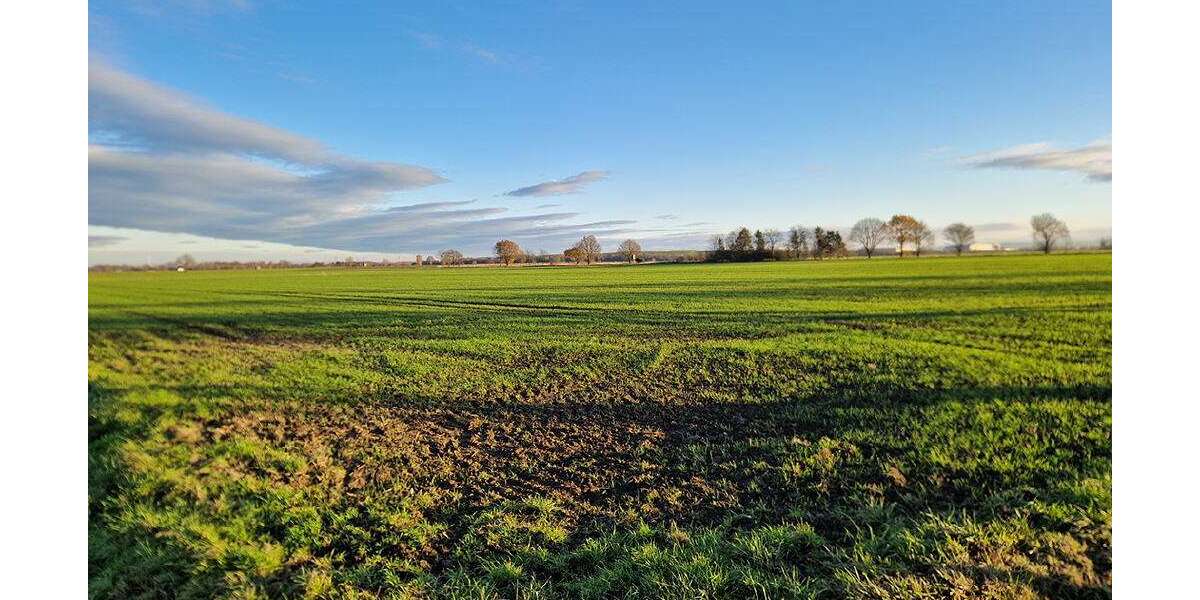 Grundstück in Werl 648.550 € 54046 m² zimmer