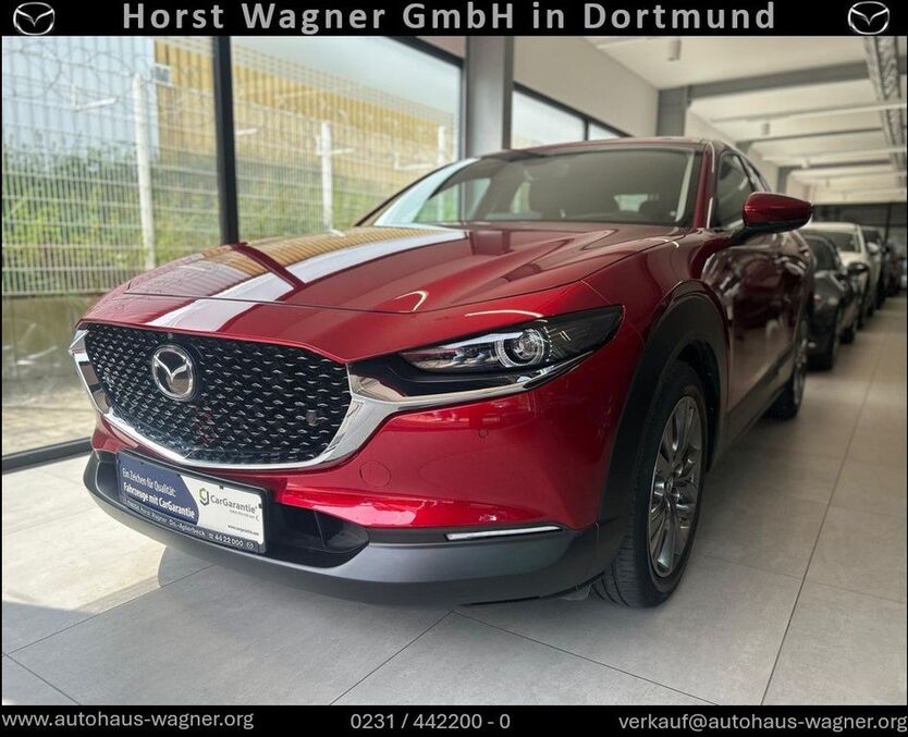 CX-30