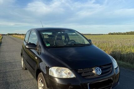VW Fox