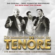 Himmlische Nacht der Tenöre - Das Original - Live und ohne technische Verstärkung 28.01.2026 Pauluskirche Hamm