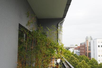 Wohnung Dortmund - 3 Zimmer, 79 m&sup2;, 790&euro; | Angebot:26233371