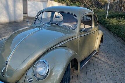 VW Käfer 15.000 km 39.500 &euro; Waltrop 45731