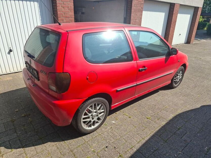 Polo