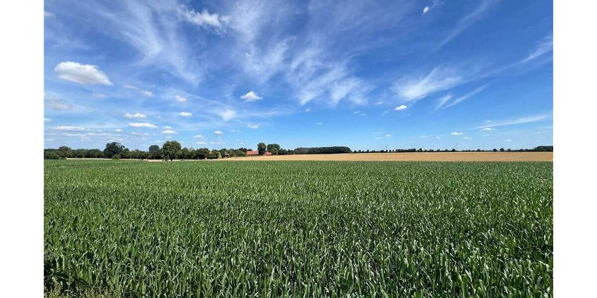 Saniertes, gemütliches Einfamilienhaus mit traumhaftem Garten in Lippetal-Schoneberg! 4 zimmer