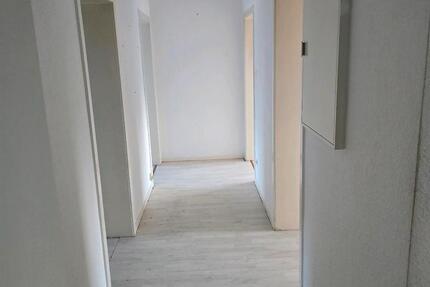 3 Zimmer Wohnung Hamm Pelkum 3 zimmer