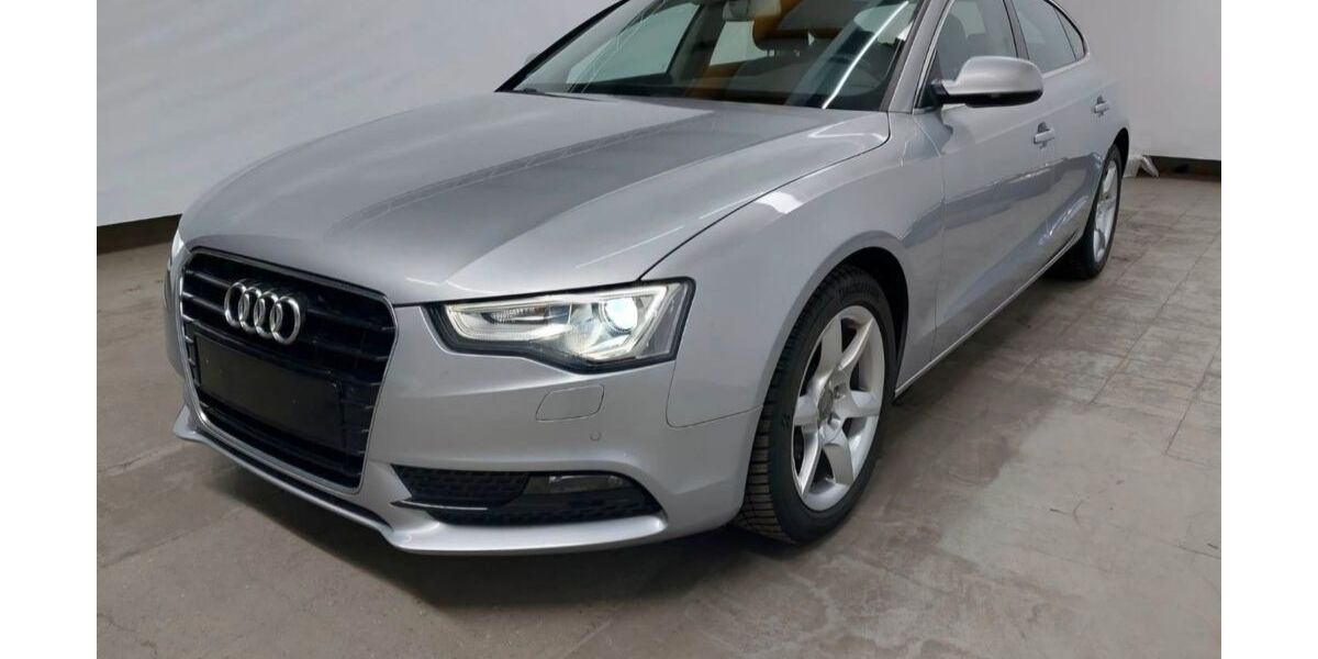 Audi A5 119.600 km 17.499 &euro; Hamm 59067