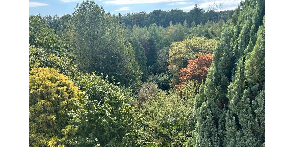 Einfamilienhaus Menden (Sauerland) - 415.000&euro; | Angebot:27156455