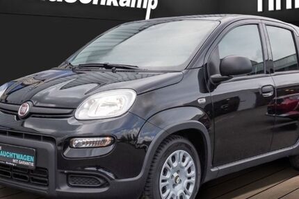Fiat Panda 11.018 km 15.480 &euro; Lüdinghausen 59348
