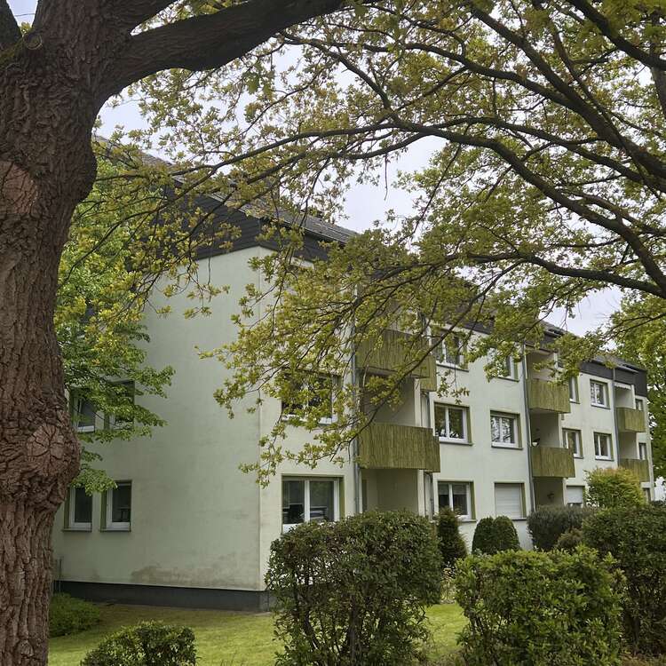Wohnung zum Kaufen in Bad Sassendorf 188.500 € 79 m²