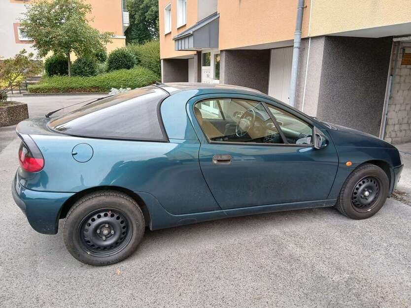 Tigra