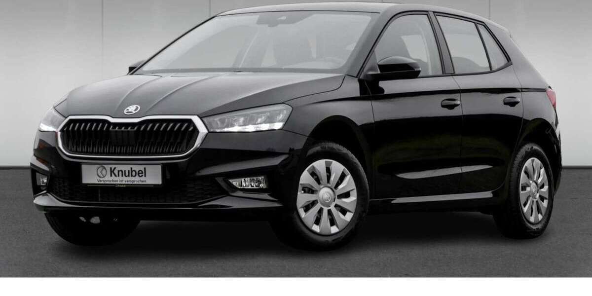 Skoda Fabia 24.430 km 15.990 &euro; Beckum 59269