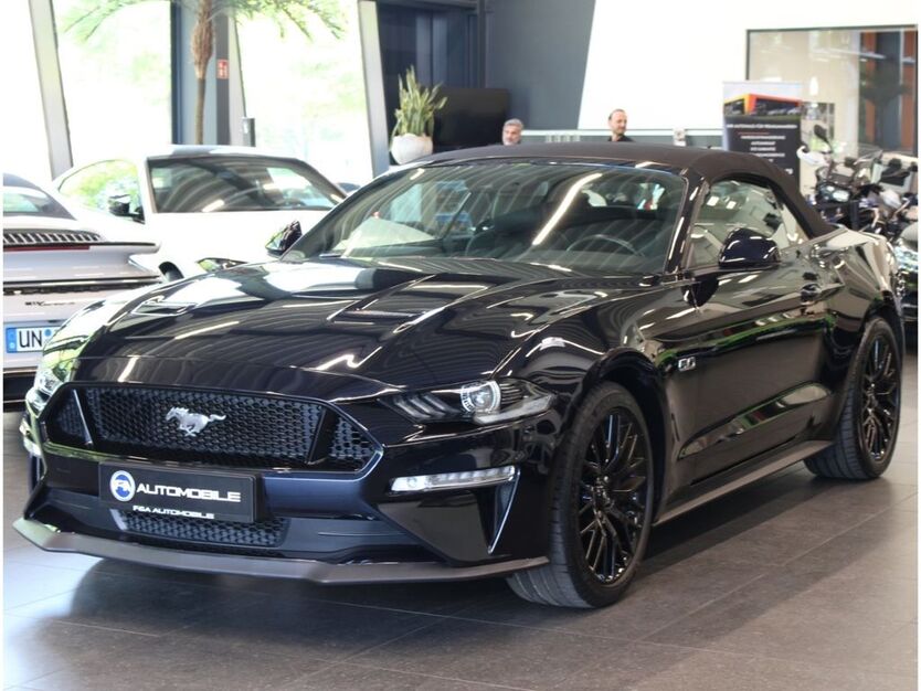Mustang