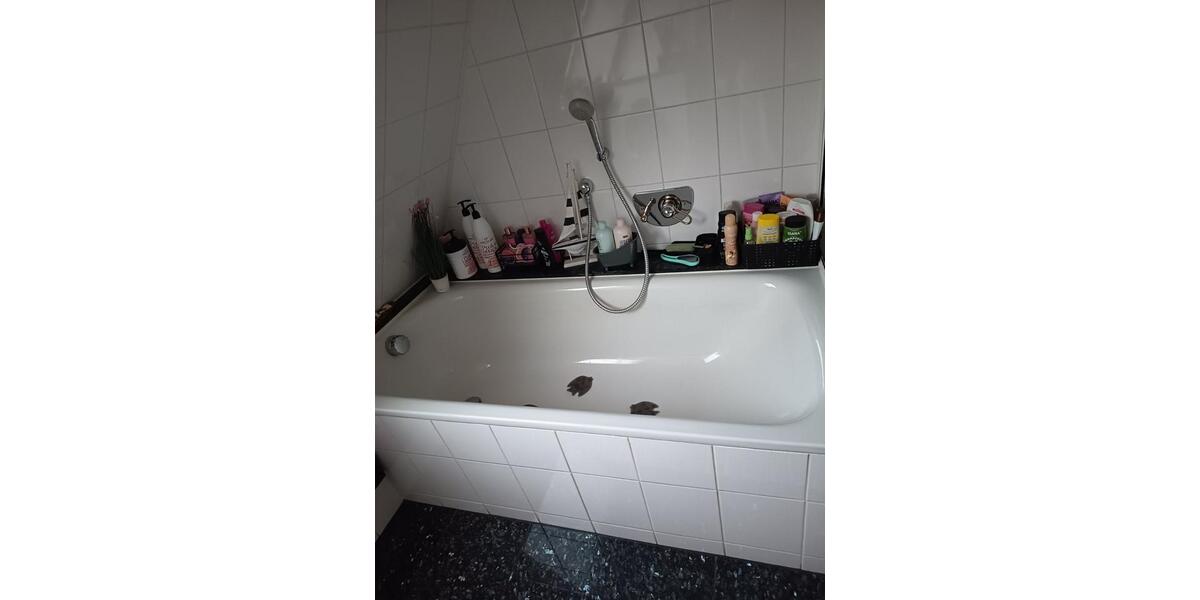 Dachgeschoßwohnung Werne - 4 Zimmer, 110 m&sup2;, 1.100&euro; | Angebot:24849646