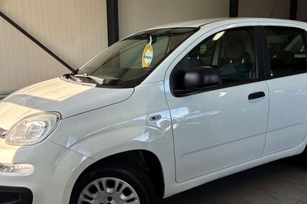 Fiat Panda 42.000 km 7.489 &euro; Holzwickede 59439