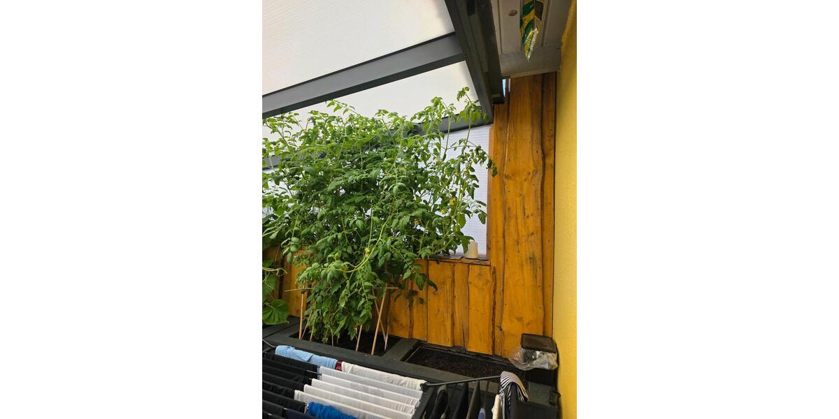 Reihenhaus Kamen - 3 Zimmer, 90 m&sup2;, 265.000&euro; | Angebot:27076575