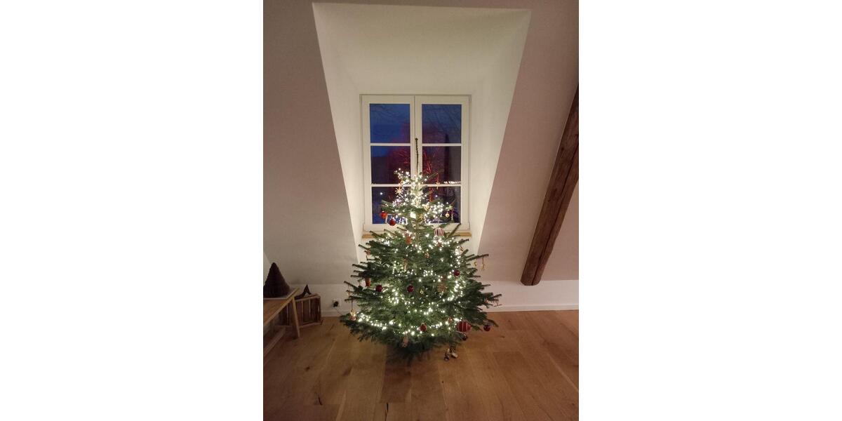 Dachgeschoßwohnung Ennigerloh - 2 Zimmer, 78 m&sup2;, 780&euro; | Angebot:24429695