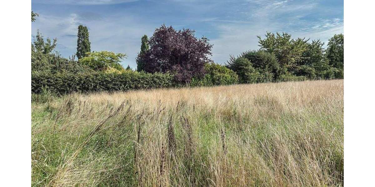 Attraktives Baugrundstück für ein freistehendes Einfamilienhaus zimmer