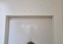 Zwei Zimmer Wohnung