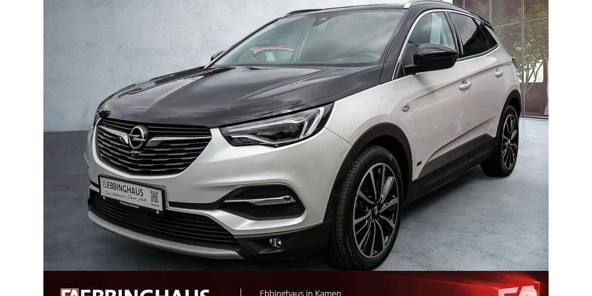 Opel Grandland (X) 47.033 km 27.999 € Kamen 59174