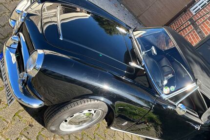 Alfa Romeo Spider 123.456 km 59.000 &euro; Kamen 59174