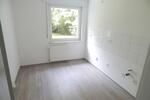 3 Zimmer Wohnung am Revierpark Wischlingen zimmer