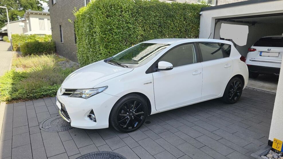 Auris
