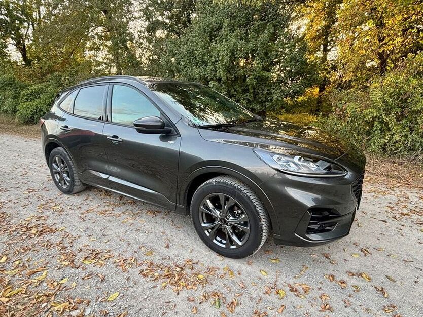 Kuga