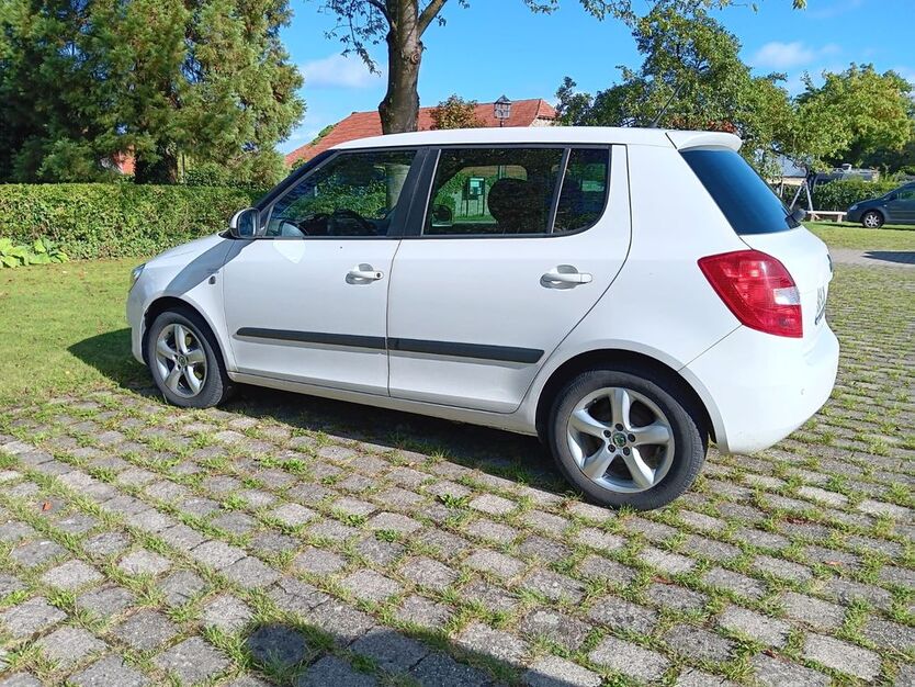 Fabia
